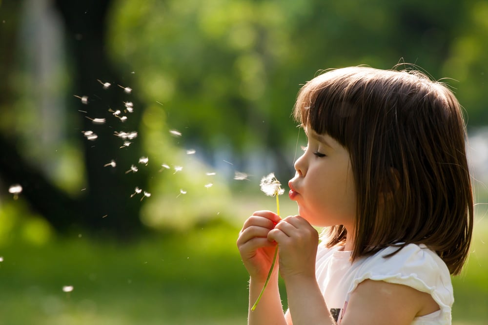 Child Blowing Dandelion