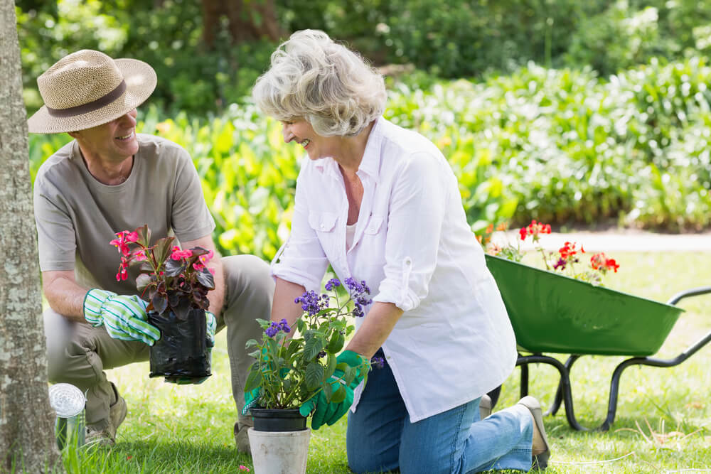 Lady and man gardening.